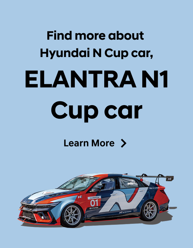 Hyundai N Cup (China) Elantra N1 Cup Car Banner