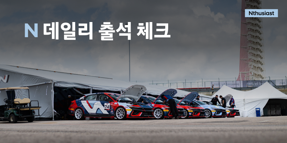 N 데일리 출석 체크