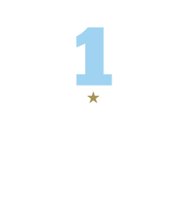 2019 TCR World Touring Car Cup CHAMPION - i30 N TCR 이미지